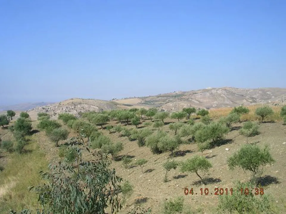 Landejendom i Cianciana, Agrigento - foto 1